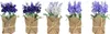 Fiori artificiali di violette in vaso 17cm colorati, 1 Anteprima dell’immagine prodotto 12