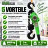 Wciągnik zapadkowy Udźwig 6 t - Wysokość podnoszenia 3 m Podgląd zdjęcia produktu 8