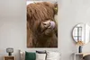 MuchoWow® Poster Schottischer Highlander - Braun - Tiere Produktbild-Vorschau 4