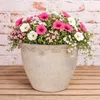 AltoBelli Blumentopf SAVONA Zement Beige Grau 13x11 cm Produktbild-Vorschau 1