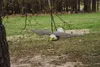 A fake bird of prey is hanging from a tree branch in a grassy area with trees in the background. Náhled obrázku produktu