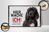 Holzschild Hinweis Pudel hier wache ich eigene Gefahr, 30 x Produktbild-Vorschau 3