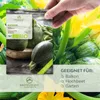 Zucchini Samen Rund (Tondo di Nizza, 5 Korn) - Zucchini Produktbild-Vorschau 2