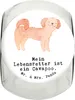 Mr. & Mrs. Panda Dose Cavapoo Lebensretter L 870ml - Weiß - Produktbild-Vorschau 1