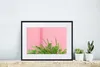 MuchoWow® Gerahmtes Poster Pflanze - Sommer - Rosa 40x30 cm Produktbild-Vorschau 6