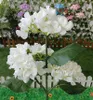 SUNARI Kvetinová solárna lampa LED FLS-93 Hydrangea 3000K Náhľad obrázku produktu 5