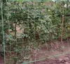 Filet - tuteur pour plantes 2x10m Gardlov 23978 Voir les images du produit 11