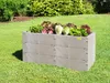 A raised garden bed filled with various types of lettuce, set in a grassy yard with trees in the background. Voir les images du produit