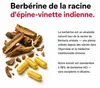 Medical Pharma Berberine HCl 60 kapsułek Voir les images du produit 2