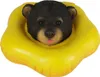 Bär mit Schwimmring Teichdeko Schwimmtier Pooldeko schwimm Produktbild-Vorschau 1