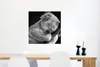 MuchoWow® Poster Koala - Schlafend - Schwarz - Kinder - Produktbild-Vorschau 5