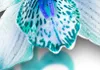 Leinwandbilder Blumen 200x100 cm Vlies Leinwandbild 5 tlg Produktbild-Vorschau 4