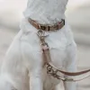 Hunter Inari, Hund, Trainingsleine, Beige, Band, tan, Produktbild-Vorschau 8