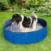 A dog is playing in a blue portable pool in a grassy backyard. Produktbild-Vorschau