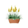 Blumenkasten Elho Vibia Campana Kunststoff 77 x 35 x 33,3 Produktbild-Vorschau 6