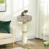 A cat sits on a cat tree next to a sofa in a living room. Podgląd zdjęcia produktu