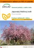 SAFLAX Garden in the bag - Japonský třešňový květ - Prunus Náhled obrázku produktu 1