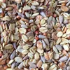 A close-up, overhead view of a mixture of birdseed. Produktbild-Vorschau