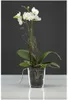 Glas Orchideentopf, Blumentopf ORCHID H. 13,5cm D. 12,5cm Produktbild-Vorschau 2