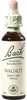Bach Original Bachbloesems Nr. 33 Walnoot, 20 ml oplossing Productafbeelding-voorbeeld 1