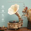 A wooden model of a gramophone is displayed on a wooden surface, with dried flowers in a vase in the background. Podgląd zdjęcia produktu