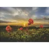 Puzzle Cloudberries 1000 pièces Voir les images du produit 2