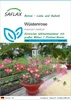 SAFLAX - Wüstenrose - Adenium obesum - 8 Samen Produktbild-Vorschau 1