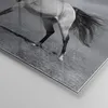 Bilder auf glas - Einteilig - Pferd Tier Natur - 50x70cm - Produktbild-Vorschau 5