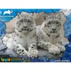 PRIME 3D Puzzle Tierplanet: Bedrohte Tierarten - Produktbild-Vorschau 2