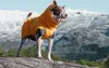 Hurtta Expedition Parka Wintermantel orange 45 Produktbild-Vorschau 2