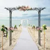 ALIGHTUP Arc de jardin en métal 206x41x216cm, arc de roses Voir les images du produit 1