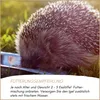 Supravit Igelfutter mit Insekten 1 kg | Artgerechtes Igel Produktbild-Vorschau 4