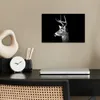 MuchoWow® Poster Tierprofil Hirsche in schwarz und weiß Produktbild-Vorschau 3