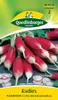 Quedlinburger Saatgut - Radies Flamboyant 2 - Samen - Produktbild-Vorschau 3
