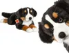 Berner Sennenhund, ca. 60 cm, 1 Stück Produktbild-Vorschau 4