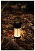 Ledlenser ML4 Warm Light Mini lanterne LED 300 lm IPX6 ( Voir les images du produit 25