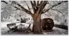 Acrylglasbilder 120x60 Wandbild Druck Baum Natur Produktbild-Vorschau 1