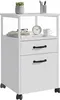 Cassettiera con rotelle Relaxdays, 2 cassetti, raccoglitori Anteprima dell’immagine prodotto 1