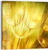 DEQORI Glasbild Echtglas 50x50 cm 'Goldener Hauch' Wandbild Produktbild-Vorschau 1