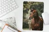 MuchoWow® Mauspad Mousepad Pferd - Äste - Porträt 18x27 cm Produktbild-Vorschau 5