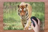 MuchoWow® Schreibtischunterlage Tiger - Wald - Laufen 60x40 Produktbild-Vorschau 3