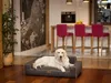 A golden retriever dog is lying on a dog bed in a modern living room with a kitchen in the background. Náhľad obrázku produktu
