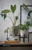 Mica Decorations Tusca Blumentopf - H23 x Ø25 cm - Grün Produktbild-Vorschau 5