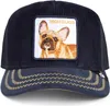 Pet Goorin Bros 101-2604-MULTI voor Unisex Productafbeelding-voorbeeld 2