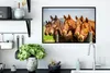 MuchoWow® MuchoWow® Gerahmtes Poster Pferde - Zaun - Sommer Produktbild-Vorschau 3