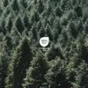 A dense forest of evergreen trees. Produktbild-Vorschau