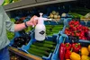 MESTO Drucksprüher 1,5 L3130LEL ebensmittelkontakt 9 Stk Produktbild-Vorschau 7