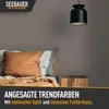 SEEBAUER diy Trendfarbe Graubeige 2,5L (No. T05 Treibholz) Produktbild-Vorschau 3