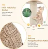 A cat scratching post with various features highlighted by text and icons. Produktbild-Vorschau