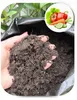 Gemüseerde 20 l - Hochwertig - Nährstoffreich - Für Garten Produktbild-Vorschau 4
